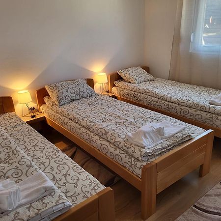 Vuk Apartman ドニー・ミラノヴァツ エクステリア 写真